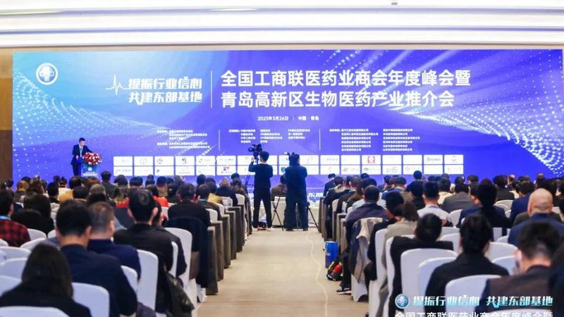 医药原料进出口资质审批：流程解析与时间考量