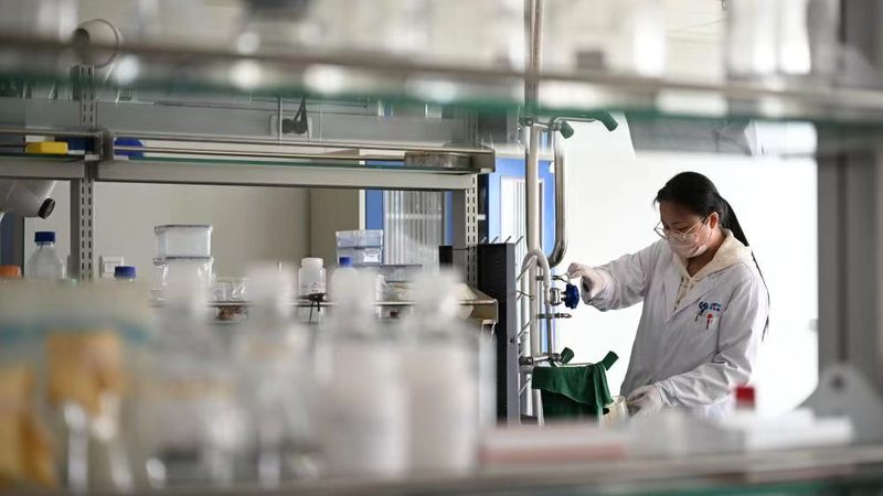 上海药包材质量标准：解码制药行业的关键一环