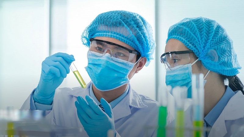 上海药用辅料供应商：如何选择合适的合作伙伴**
