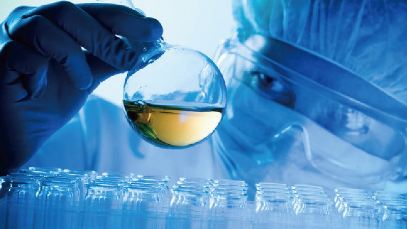 广州植物提取物生产：揭秘行业“绿色”力量**
