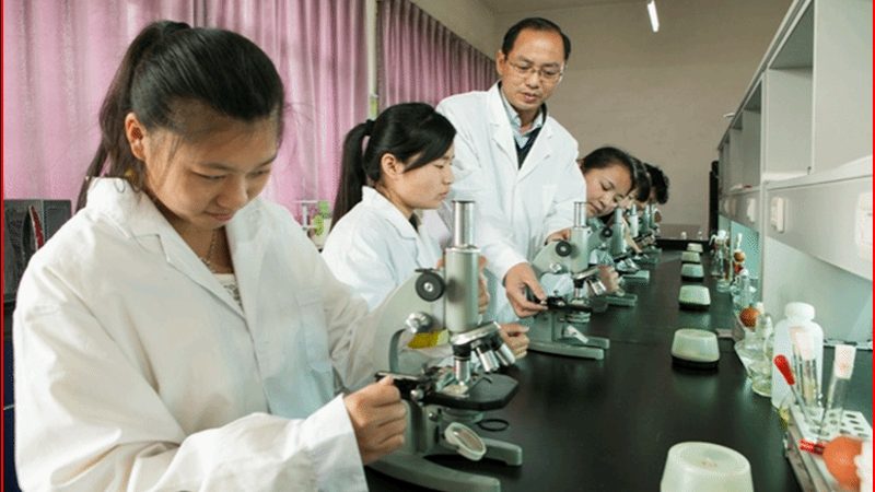 药品经营许可证法人变更，网上办理全攻略
