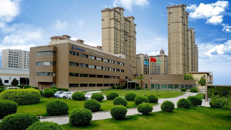医药批发市场：药品分类、价格对比与选购要点